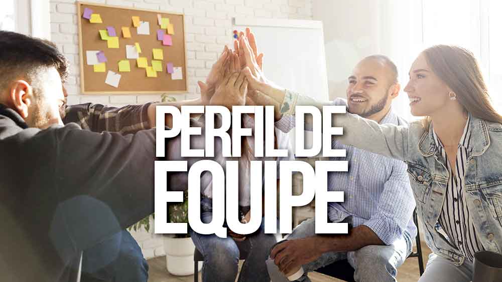 Perfil de equipe: Qual é a sua?